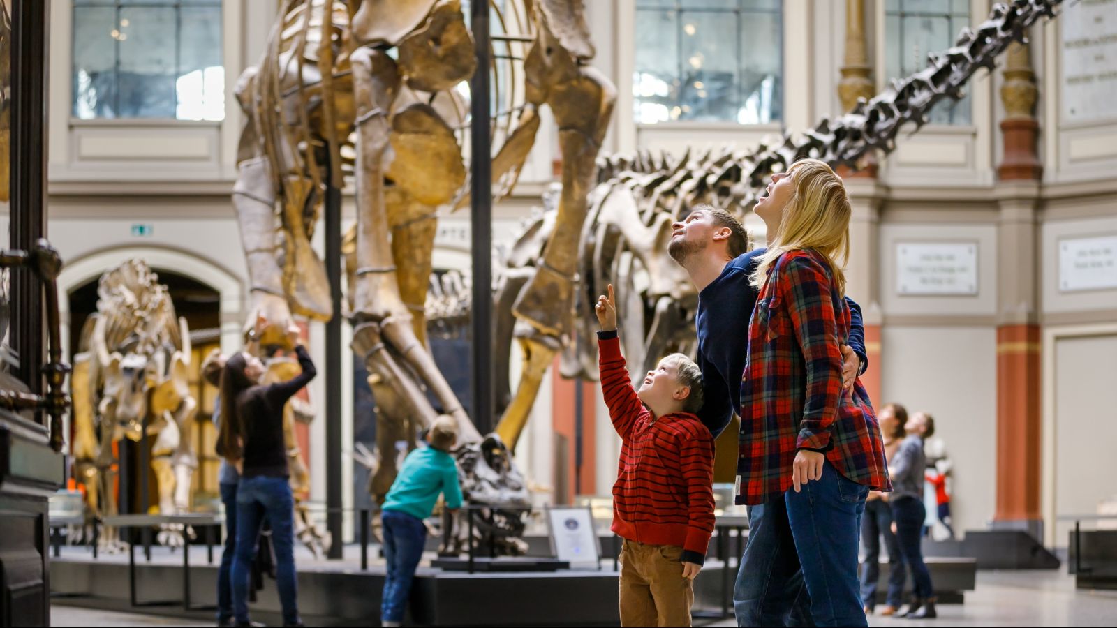 Das Bild zeigt die Saurierhalle im Naturkundemuseum Berlin.